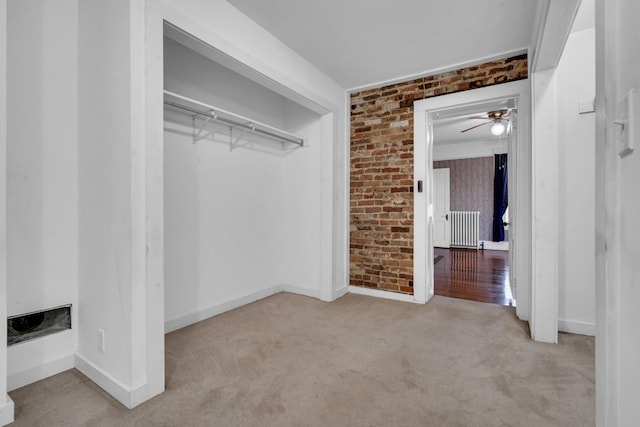 closet featuring radiator