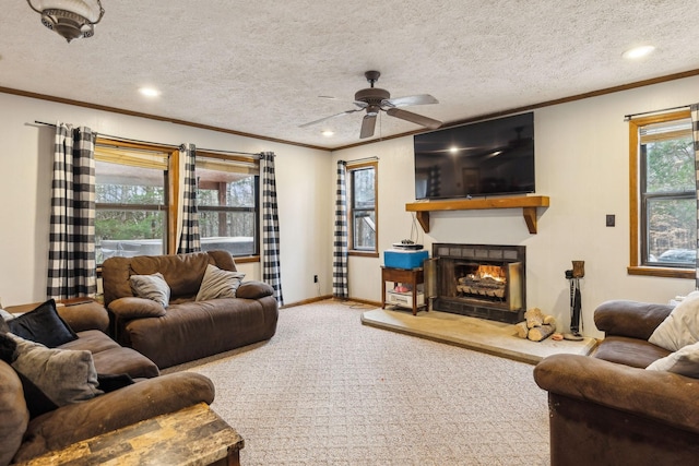 living room with ceiling fan, ornamental molding, carpet, and a textured ceiling