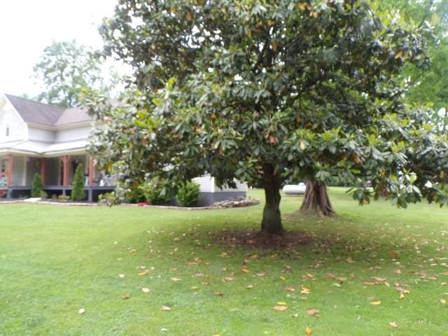 479 Elora Rd, Elora, TN 37328 - view of grassy yard