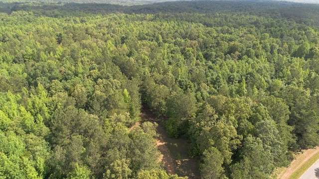 0 New Bethel Rd, Cedar Grove TN, 38321 land for sale