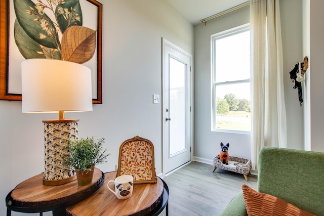 doorway to outside with light hardwood / wood-style floors