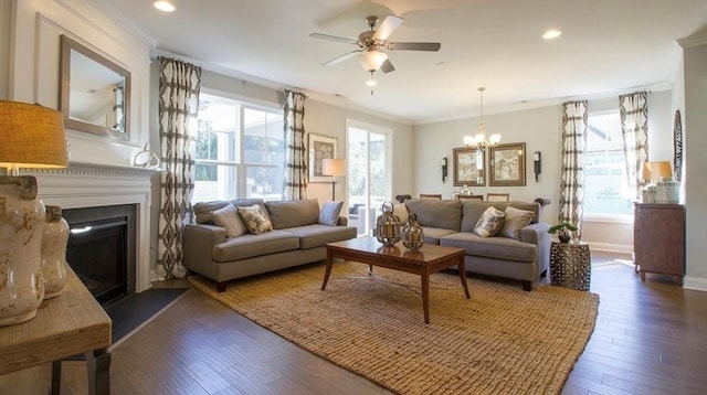 living room featuring ornamental molding, dark hardwood / wood-style flooring, and ceiling fan with notable chandelier