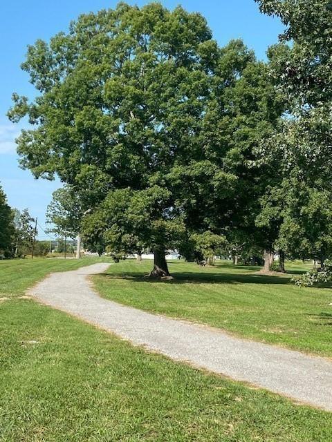 view of community with a lawn