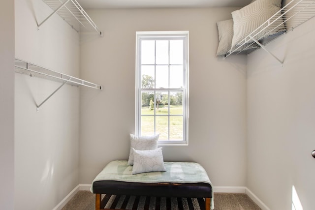 spacious closet with carpet floors