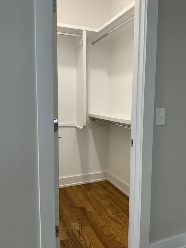 spacious closet with dark hardwood / wood-style flooring