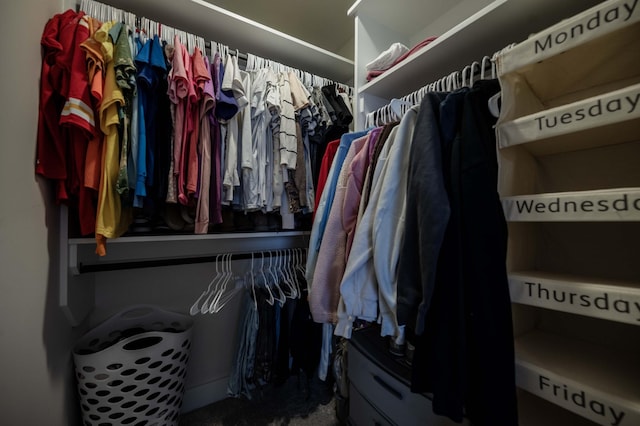 view of spacious closet