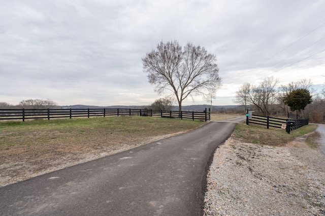 view of road with a rural view