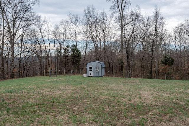 view of yard featuring a storage unit