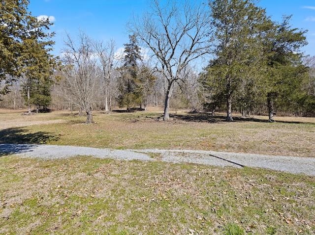 474 Bartlett Hollow Rd, Petersburg, TN 37144 - view of yard