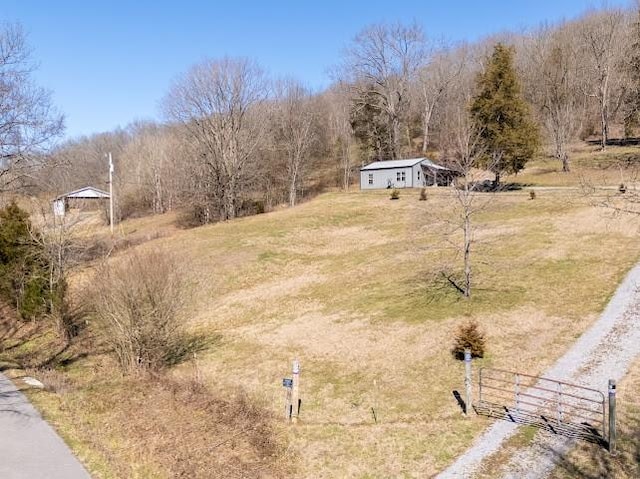 474 Bartlett Hollow Rd, Petersburg, TN 37144 - view of yard featuring fence, dirt driveway, and a rural view
