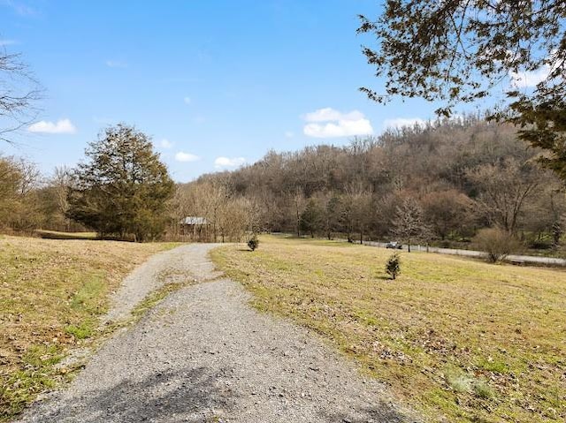 474 Bartlett Hollow Rd, Petersburg, TN 37144 - view of road featuring a wooded view
