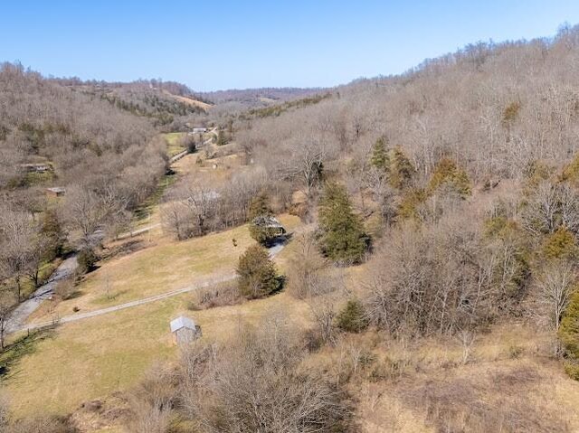 474 Bartlett Hollow Rd, Petersburg, TN 37144 - birds eye view of property
