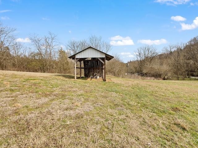 474 Bartlett Hollow Rd, Petersburg, TN 37144 - view of yard featuring an outbuilding and a pole building
