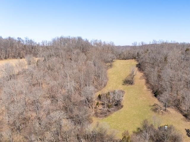 474 Bartlett Hollow Rd, Petersburg, TN 37144 - bird's eye view with a wooded view