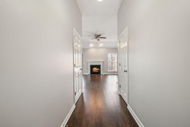 hall with dark hardwood / wood-style floors