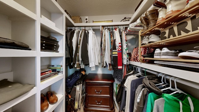 view of walk in closet