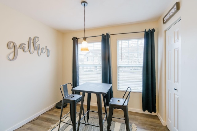 dining room featuring hardwood / wood-style flooring