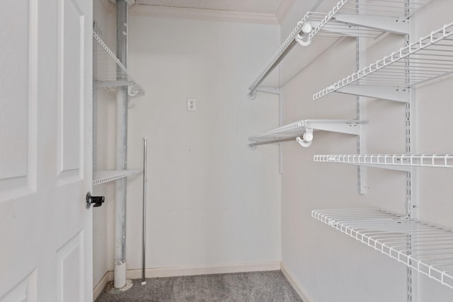 walk in closet featuring carpet floors