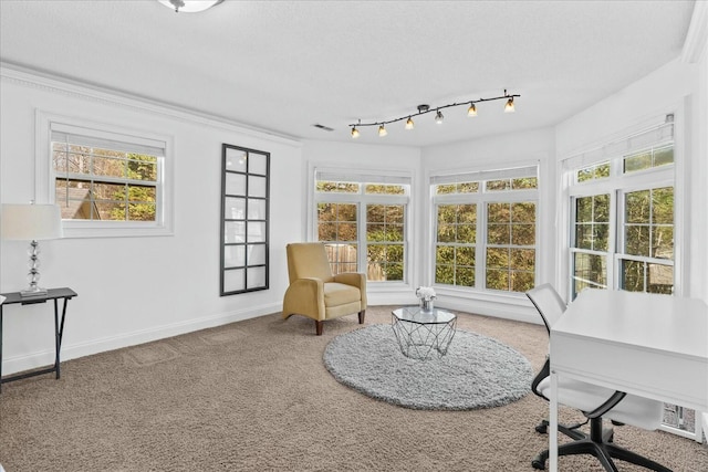 sunroom featuring plenty of natural light and track lighting