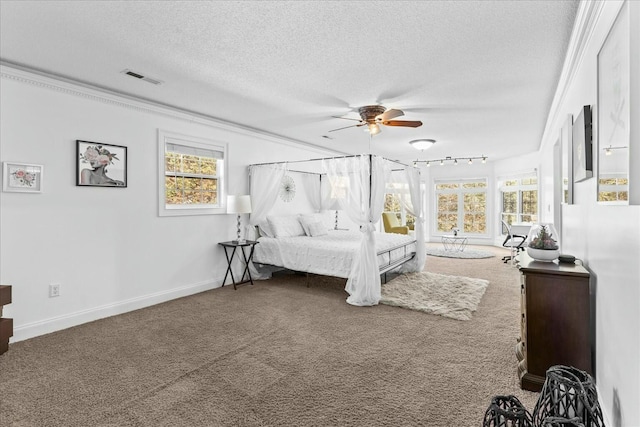 carpeted bedroom featuring multiple windows, ceiling fan, and a textured ceiling