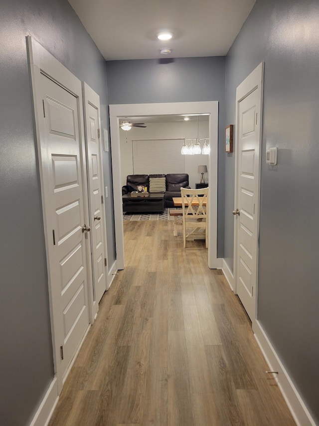 hall featuring wood-type flooring