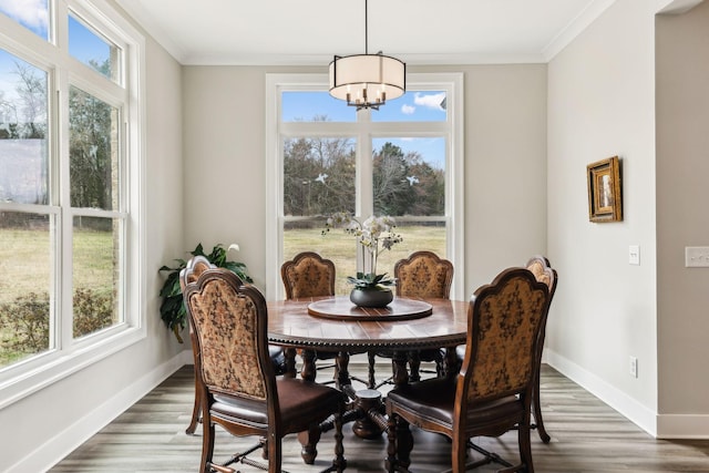 dining room featuring a wealth of natural light, dark wood-type flooring, and ornamental molding