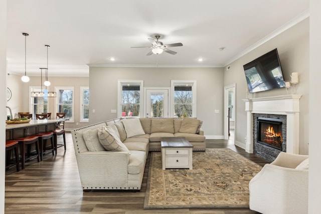 living room featuring plenty of natural light, a premium fireplace, crown molding, and dark hardwood / wood-style floors