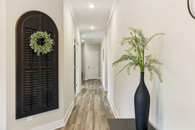 corridor featuring light wood-type flooring and crown molding