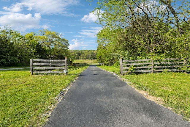 8760 Rocky Fork Rd, Smyrna, TN 37167 - view of street featuring a view of trees