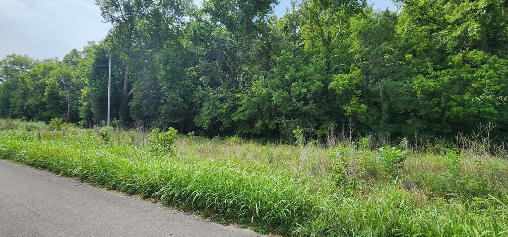 0 Norton Branch Rd, Beechgrove, TN 37018