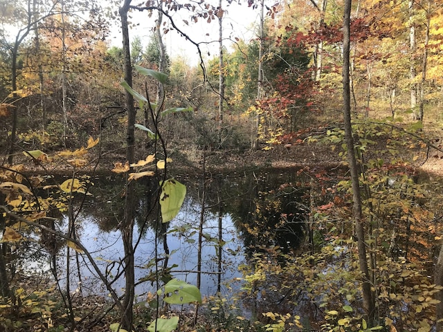 view of water feature featuring a wooded view