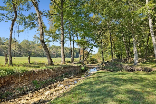 6992 Mill Creek Rd, Lyles, TN 37098 - view of yard