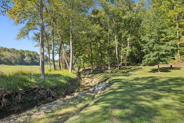 6992 Mill Creek Rd, Lyles, TN 37098 - view of yard with a wooded view