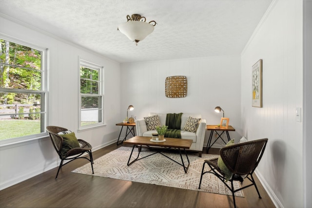 6992 Mill Creek Rd, Lyles, TN 37098 - sitting room with crown molding, a textured ceiling, baseboards, and dark wood-style flooring