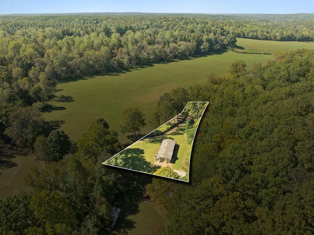 6992 Mill Creek Rd, Lyles, TN 37098 - drone / aerial view with a view of trees