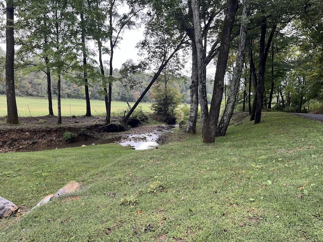 6992 Mill Creek Rd, Lyles, TN 37098 - view of yard