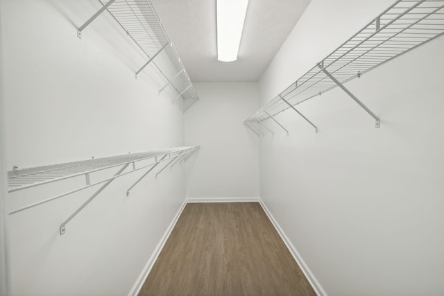 6992 Mill Creek Rd, Lyles, TN 37098 - spacious closet featuring wood finished floors