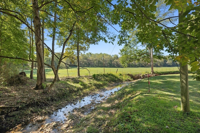 6992 Mill Creek Rd, Lyles, TN 37098 - view of yard