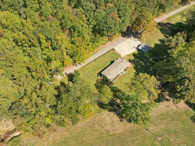 6992 Mill Creek Rd, Lyles, TN 37098 - bird's eye view featuring a view of trees