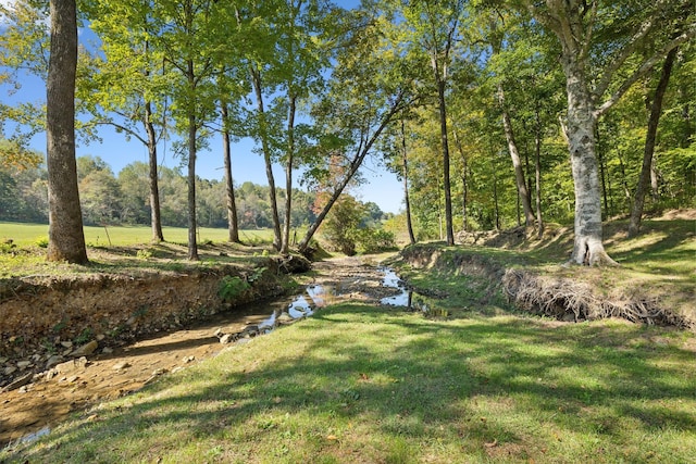 6992 Mill Creek Rd, Lyles, TN 37098 - view of yard with a forest view