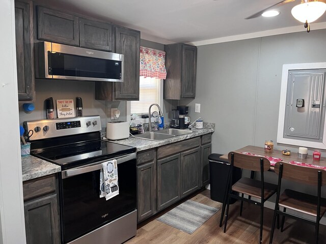6992 Mill Creek Rd, Lyles, TN 37098 - kitchen with stainless steel appliances, light wood-style floors, a sink, dark brown cabinetry, and electric panel