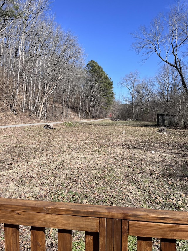 6992 Mill Creek Rd, Lyles, TN 37098 - view of yard