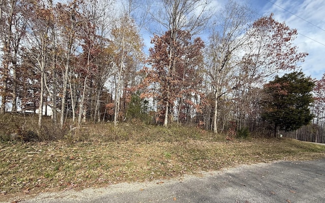 Listing photo 3 for 0 Cotton Ln, Leoma TN 38468