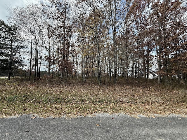 Listing photo 2 for 0 Cotton Ln, Leoma TN 38468