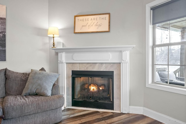 room details with hardwood / wood-style floors and a fireplace