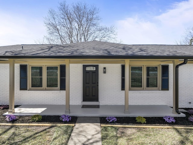 view of exterior entry with brick siding, a porch, and a shingled roof