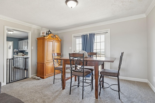 dining space with crown molding, a textured ceiling, and carpet flooring