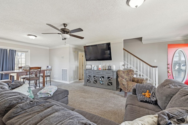 carpeted living room with crown molding, a textured ceiling, and ceiling fan