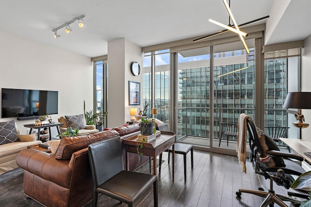 living room with hardwood / wood-style flooring, rail lighting, and expansive windows