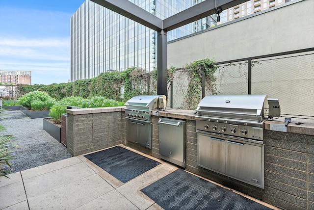 view of patio / terrace featuring an outdoor kitchen and area for grilling